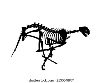 Shape Cheetah skeleton vector silhouette illustration isolated on white. Shadow predator fossil symbol in museum of science biology. Acinonyx jubatus. Big cat fastest animal on planet. Panther run.