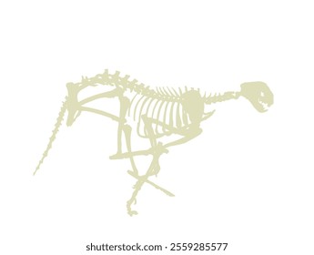 Shape Cheetah skeleton vector silhouette illustration isolated on white. Shadow predator fossil symbol in museum of science biology. Acinonyx jubatus. Big cat fastest animal on planet. Panther run.