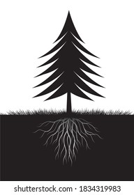 Shape of Christmas Tree and Roots. Vector outline Illustration. Spruce Tree.