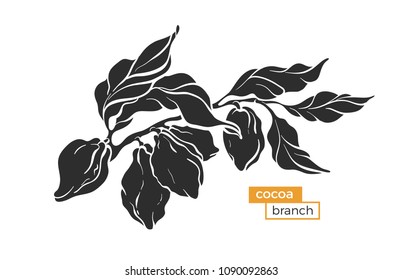 Shape of cocoa tree branch, leaves, beans, fruit. Organic sweet product Natural silhouette, botanical illustration, tropical symbol Vector isolated on white background Print design for bio label, card