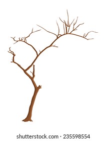 Shape of Dead Tree