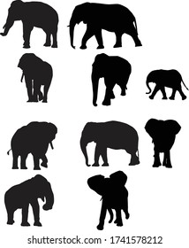 shape elepahnt vector for design