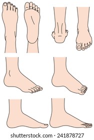 The Shape Of The Foot