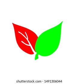 Shape of green leave of tree and plant. Leaves icon or leaves logo vector set isolated on white background. 