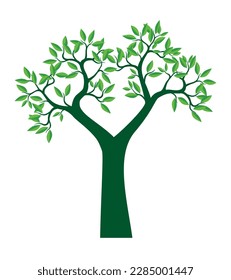 Shape of Green Tree with fresh Leaves. Vector outline Illustration. Plant in Garden.