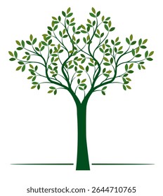 Shape of Green Tree with Leaves ad Roots. Vector outline Illustration. Plant in Garden.