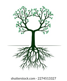 Shape of Green Tree with Leaves and Roots. Vector outline Illustration. Plant in Garden.