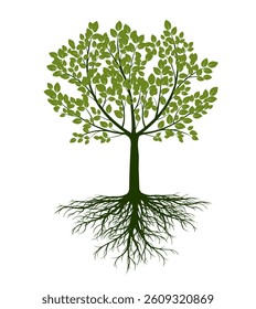 Shape of Green Tree with Leaves and Roots. Vector outline Illustration. Plant in Garden.