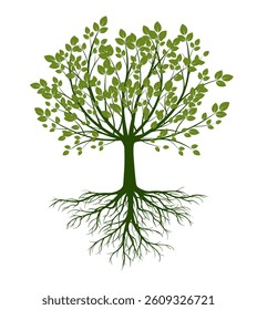 Shape of Green Tree with Leaves and Roots. Vector outline Illustration. Plant in Garden.