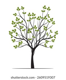 Shape of Green Tree with Leaves and Roots. Vector outline Illustration. Plant in Garden.