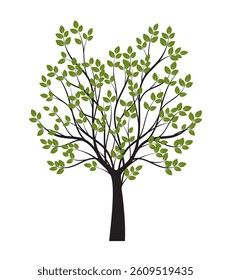 Shape of Green Tree with Leaves and Roots. Vector outline Illustration. Plant in Garden.