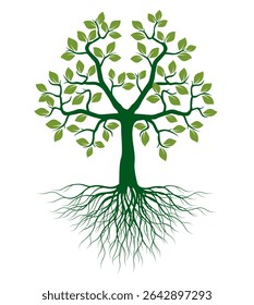 Shape of Green Tree with Leaves and Roots. Vector outline Illustration. Plant in Garden.