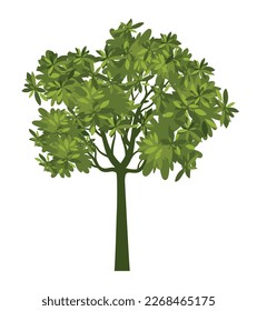 Form des grünen Baumes mit Blättern. Vektorgrafik-Skizze. Pflanzen Sie in Garden.