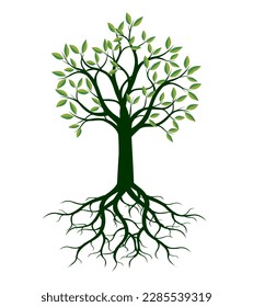 Shape of Green Tree with Leaves. Vector outline Illustration. Plant in Garden.