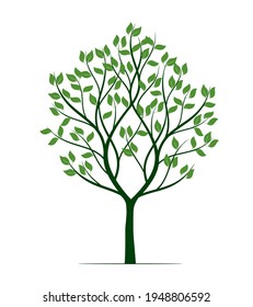Forma de árbol verde con raíces. Ilustración del contorno del vector. Planta en el jardín.