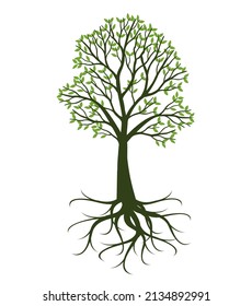 Shape Green Tree Roots Vector Outline Stock Vector (royalty Free 