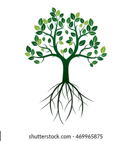 Shape of Green Tree and Roots. Vector Illustration.