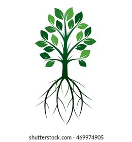 Shape of Green Tree and Roots. Vector Illustration.