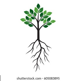 Shape of Green Tree and Roots. Vector Illustration.