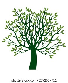 Shape of green Tree. Vector outline Illustration. Plant in Garden.