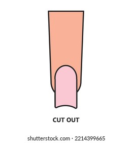 Shape nail vector icon.Color vector icon isolated on white background shape nail.
