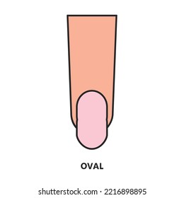 Icono de vector de uñas de forma.Icono de vector de color aislado en la uña de forma de fondo blanco.