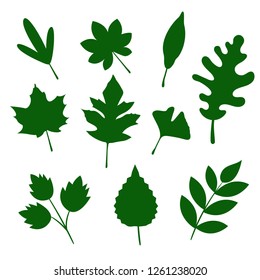 Shape Shadow Leaf Stock Vector (Royalty Free) 1261238020 | Shutterstock