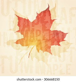 Shape of Single maple leaf in autumn . Textured and stylized vector illustration on the old paper background with text decoration