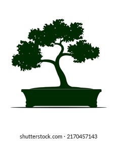 Shape of Spring Tree with Leaves in Pot. Vector outline Illustration. Plant in Garden. Bonsai Tree.