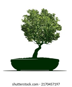 Shape of Spring Tree with Leaves in Pot. Vector outline Illustration. Plant in Garden. Bonsai Tree.