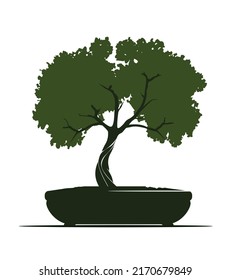 Shape of Spring Tree with Leaves in Pot. Vector outline Illustration. Plant in Garden. Bonsai.