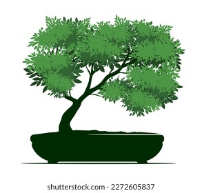 Shape of Spring Tree with Leaves in Pot. Vector outline Illustration. Plant in Garden. Bonsai.