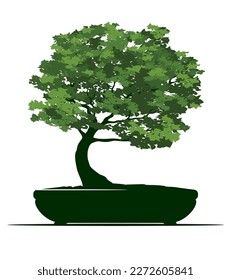 Shape of Spring Tree with Leaves in Pot. Vector outline Illustration. Plant in Garden. Bonsai.