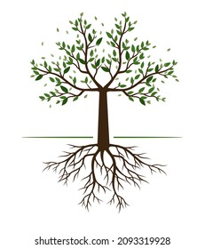 Shape of Spring Tree with Leaves and Roots. Vector outline Illustration. Plant in Garden.