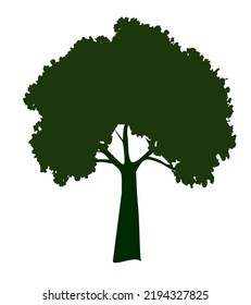 Shape of Spring Tree with Leaves. Vector outline Illustration. Plant in Garden.