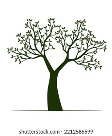 Shape of Spring Tree with Leaves. Vector outline Illustration. Plant in Garden.