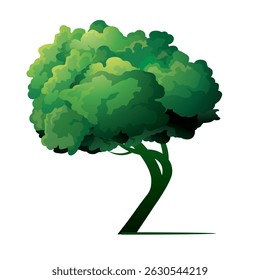 Shape of Spring Tree with Leaves. Vector outline Illustration on green background. Plant in Garden.