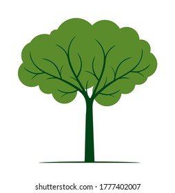 Shape of Tree with green leaves. Vector outline Illustration. Plant in Garden. EPS file.