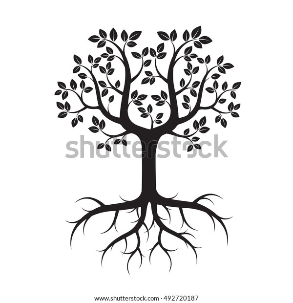 Shape Tree Leafs Roots Vector Illustration Stock Vector (royalty Free 