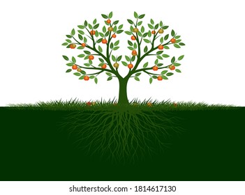 Forma de árbol con hojas y frutas. Ilustración del contorno del vector. Planta en el jardín.