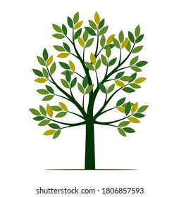 Forma de árbol con hojas y raíces. Ilustración del contorno del vector. Planta en el jardín.