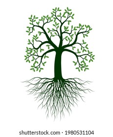 Form des Baumes mit Blättern und Wurzeln. Vektorgrafik-Skizze. Pflanzen Sie in Garden.