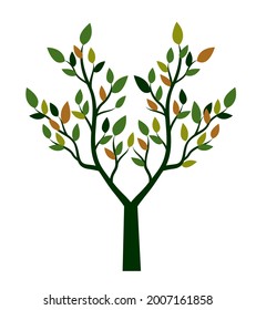 Shape of Tree with leaves and Roots. Vector outline Illustration. Plant in Garden.