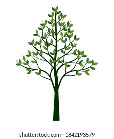 Shape of Tree with leaves. Vector outline Illustration. Plant in Garden.