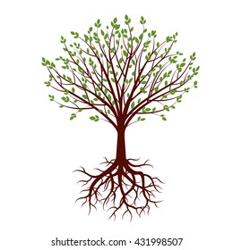 Shape of Tree, Roots and Green Leafs. Vector Illustration.
