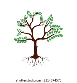 Shape of Tree with Roots. Vector Illustration. Plant in garden.