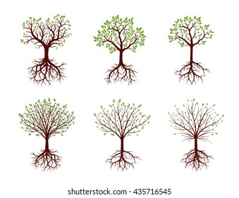 Shape of Trees, Roots and Leafs. Vector Illustration.