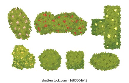 Shaped Green Bushes Planted in Parks and Gardens Above View Vector Set