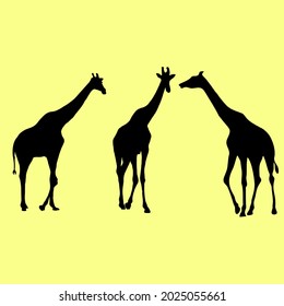 Shapes of giraffe silhouettes on white background vector illustrations isolated on yellow background
