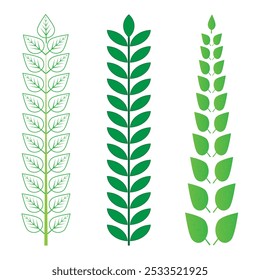 shapes Green circular laurel leaves use for winner trophy
Set of green Leaf logo template vector icon illustration design